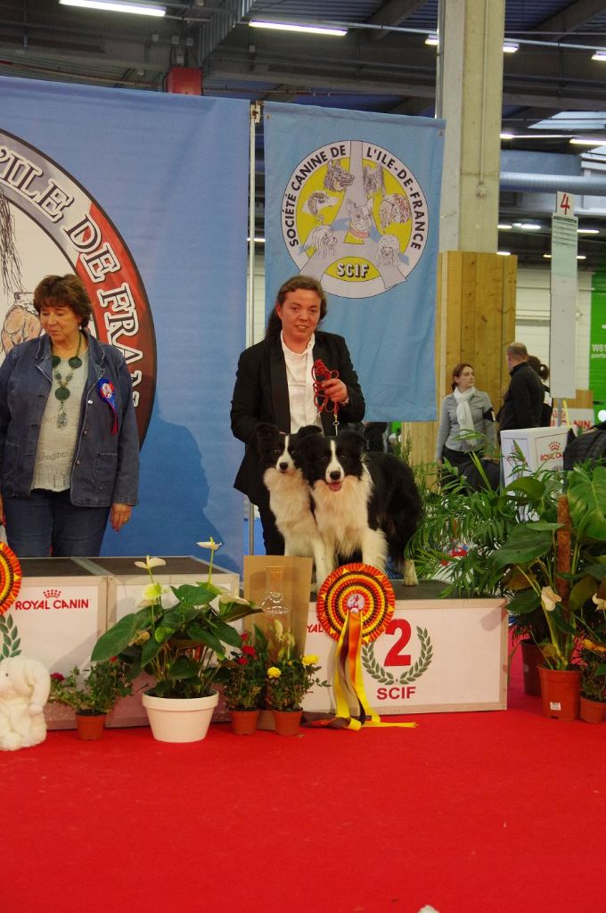 Of Pacific Spirit - Paris DOG SHOW