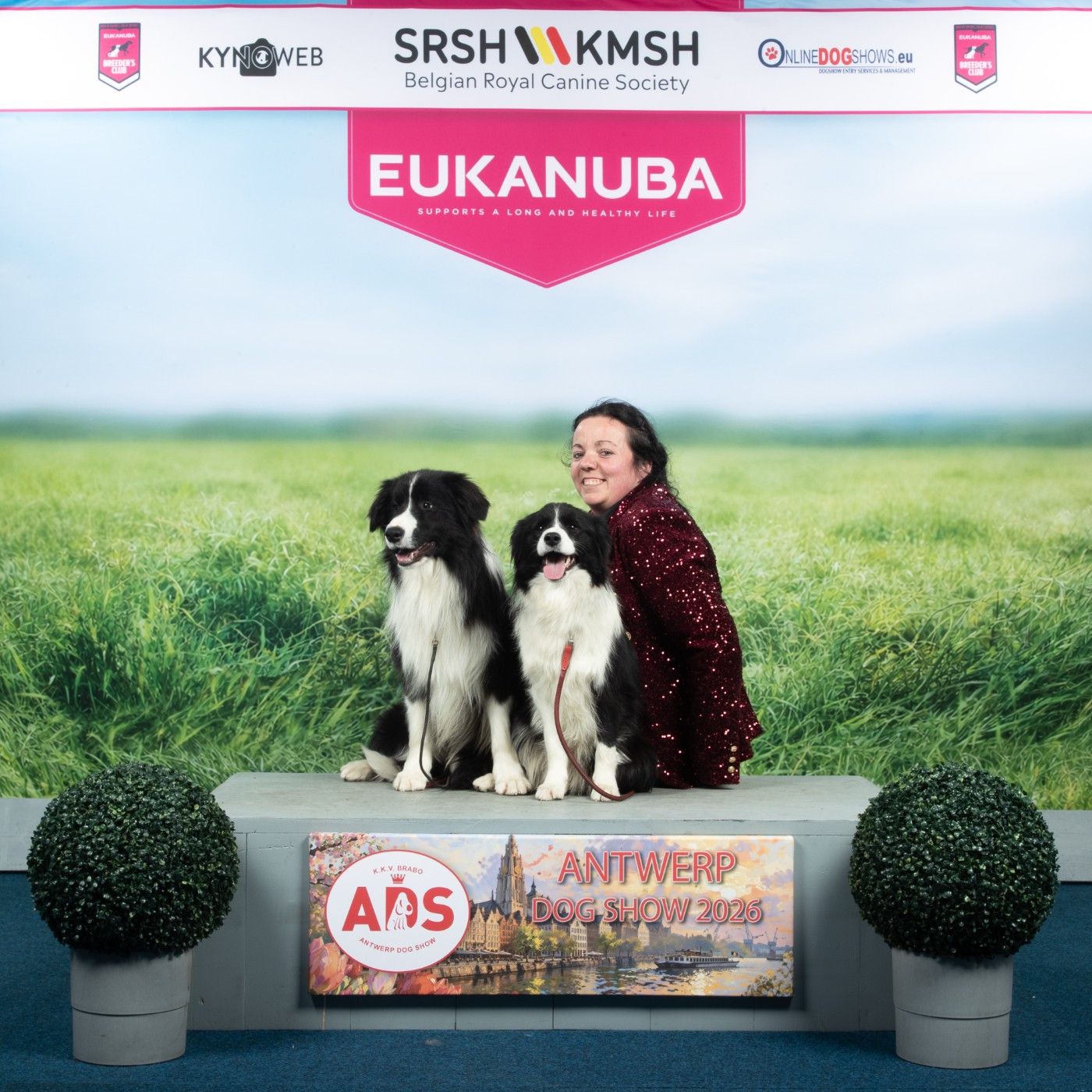 Antwerpen dog show
