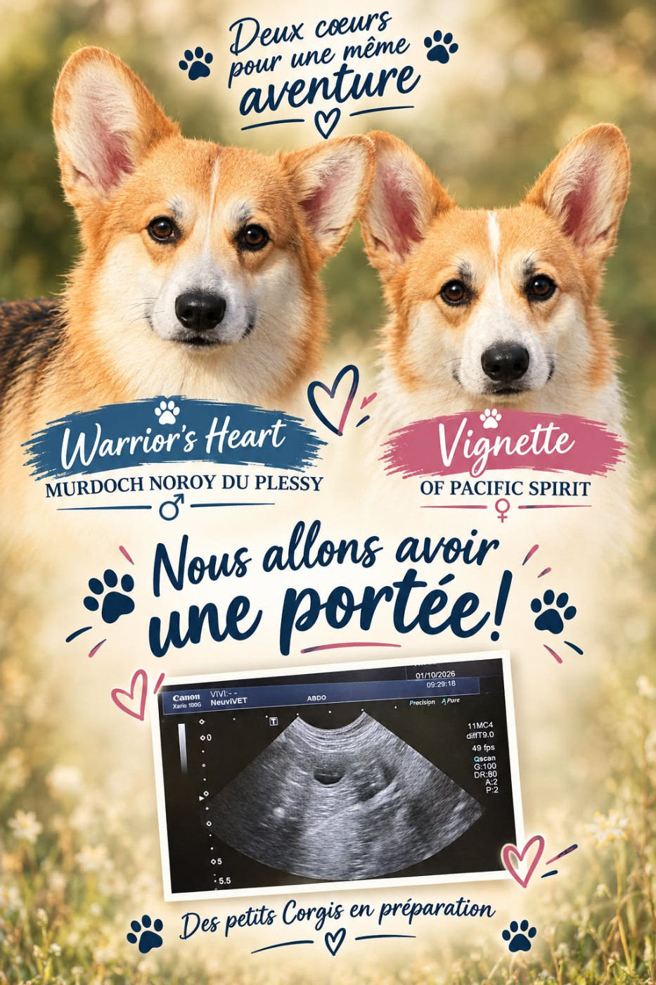 Des bébés pour novembre